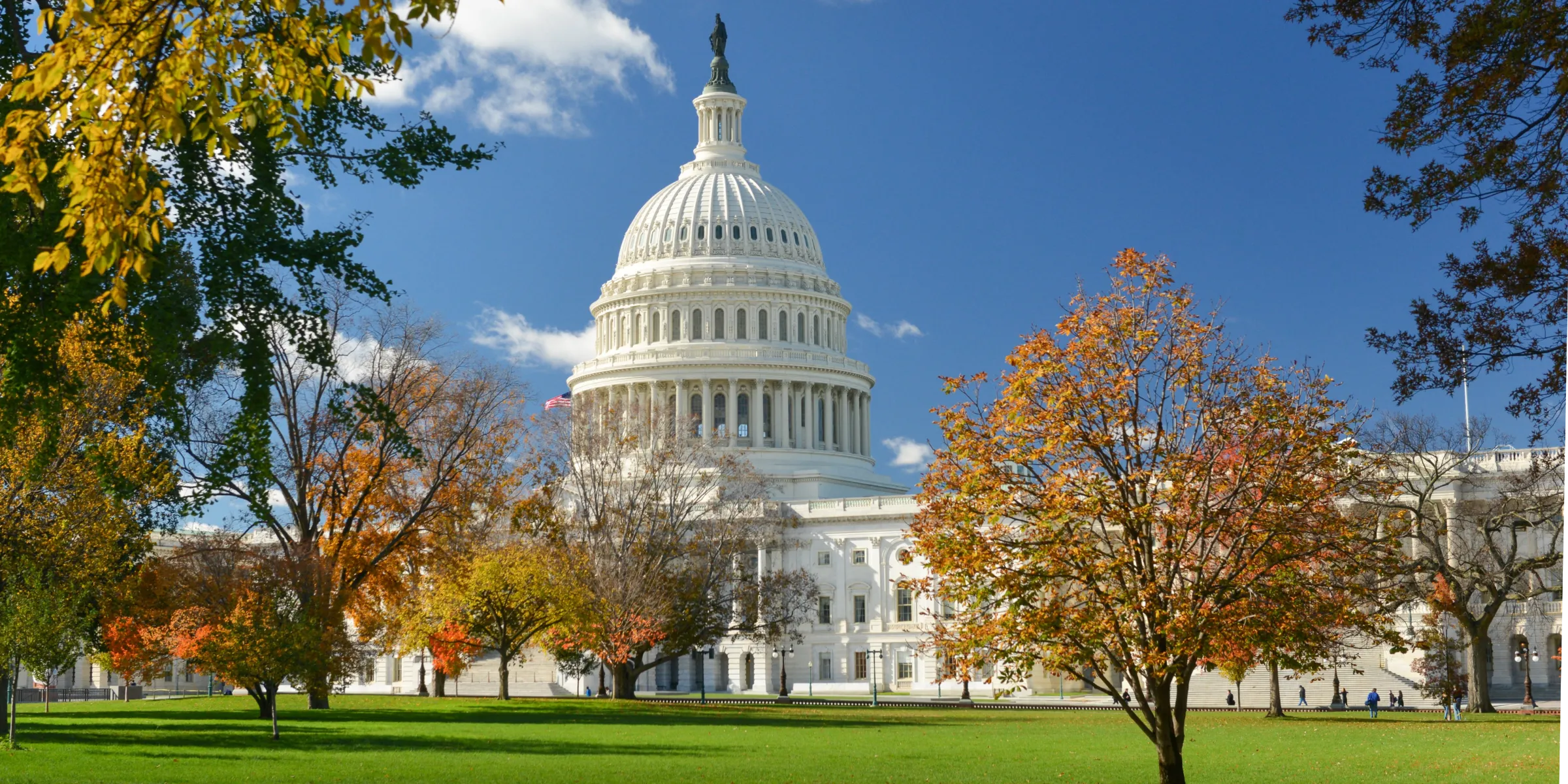 Protect Medicaid: Share Your Story