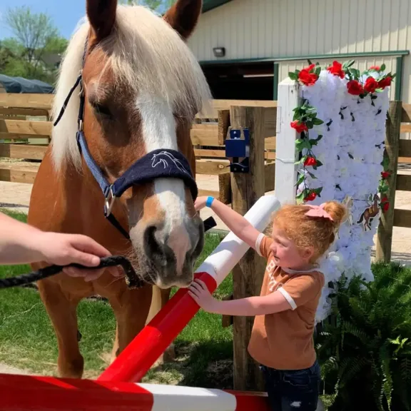 HorseShow